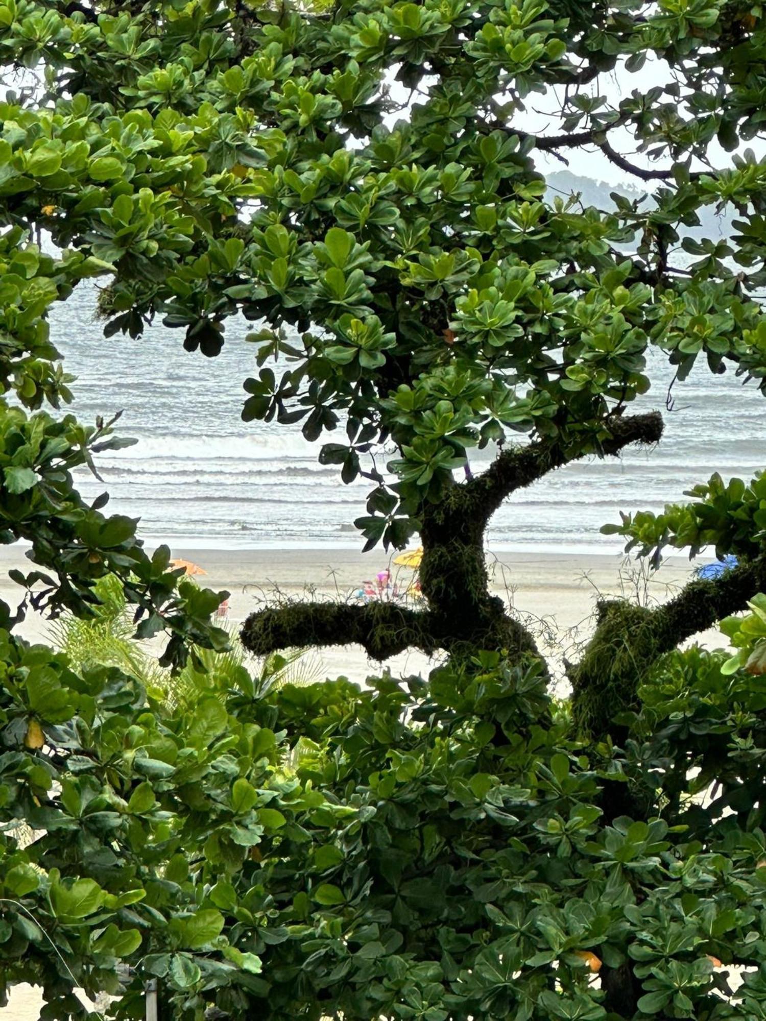 Ap Pe Na Areia Vista Parcial Mar Santos (Sao Paulo) Exterior foto